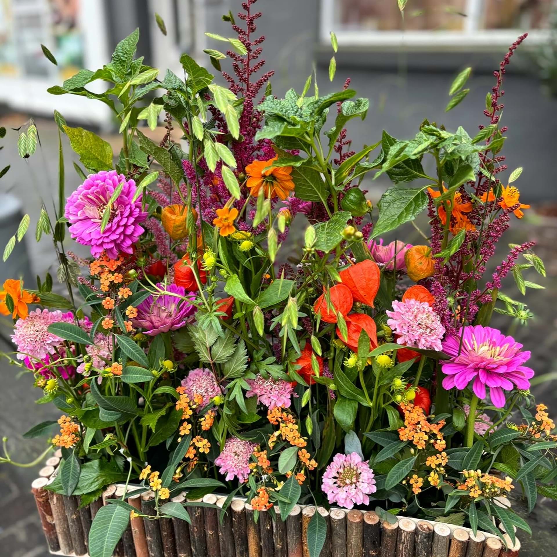 Sammenplantning med efterårets blomster i varme og skarpe farver.