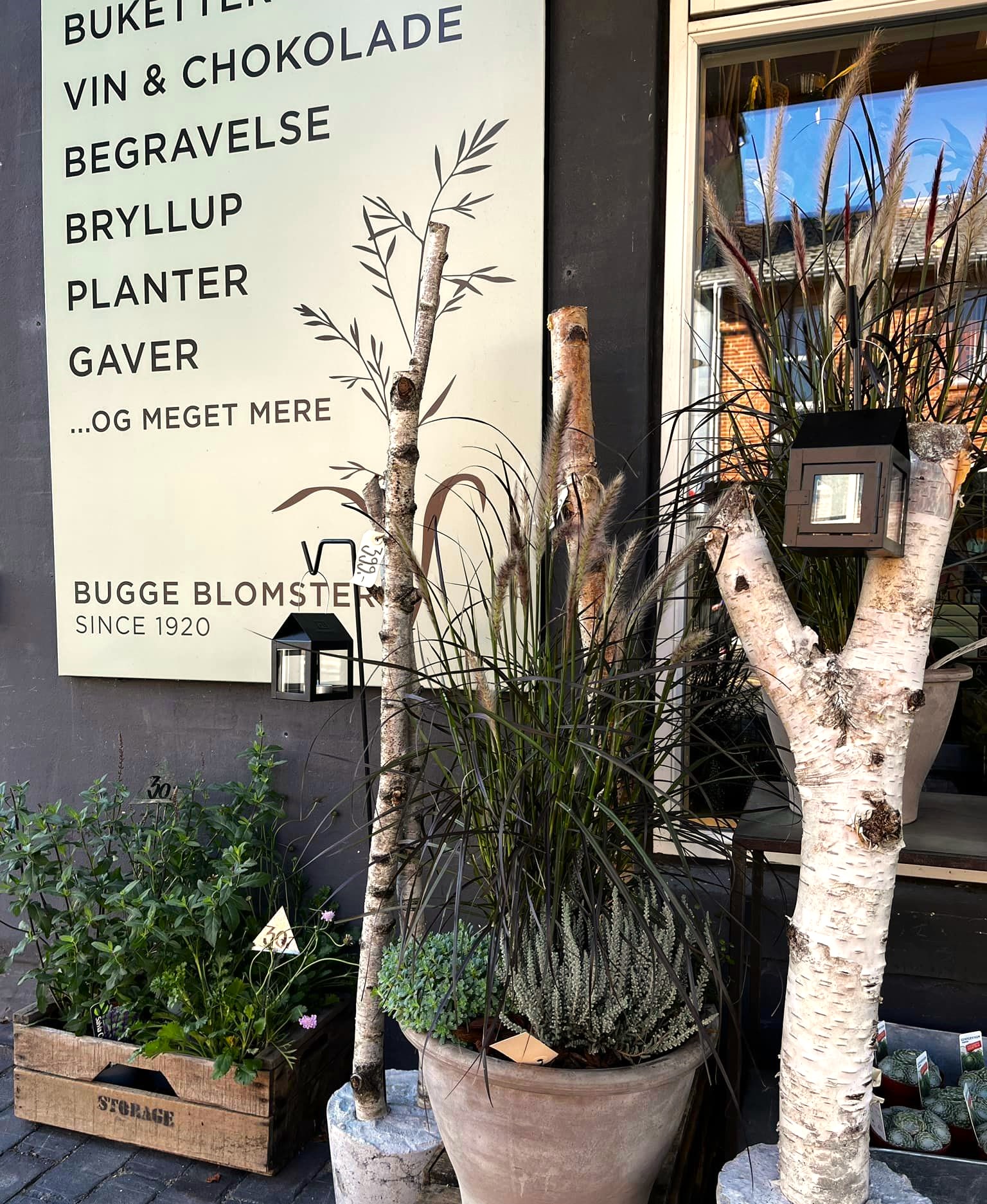 Butiksfacade af Bugge Blomster opstillet med en krukker og planter. 