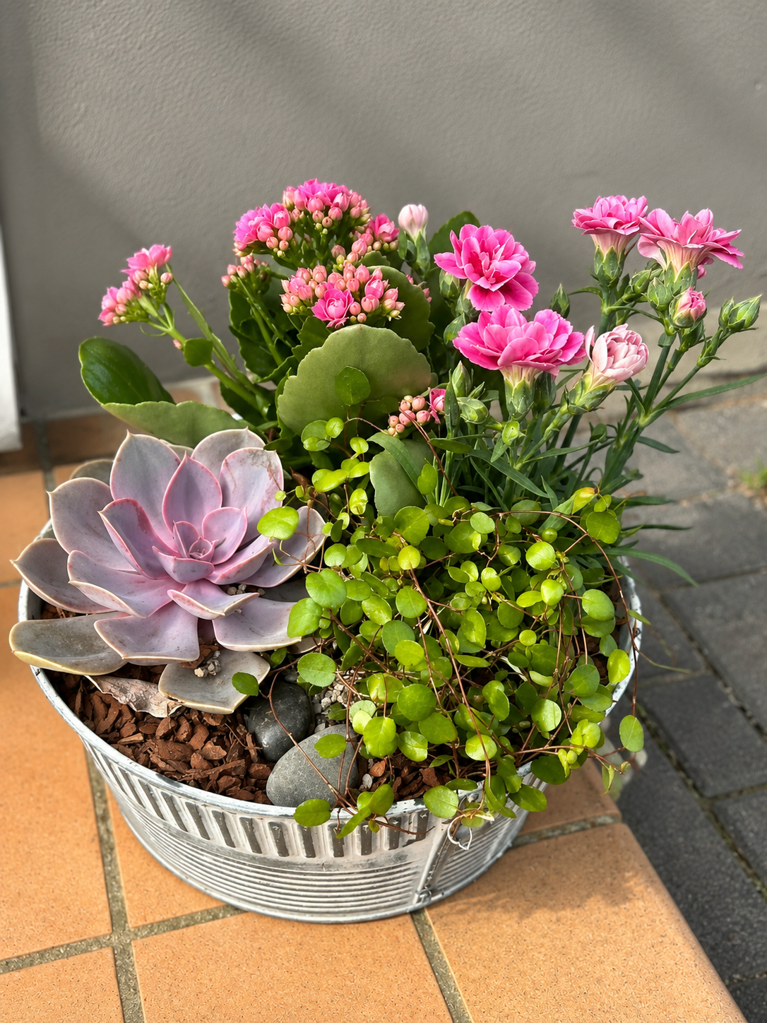 Flot sommerbeplantning med friske planter og blomstrende detaljer.